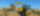 Excavator Wacker Neuson EZ50 (4617 kg)