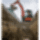 Excavator Kubota_KX060_5_5.6t (5635 kg)