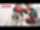 Cordless drywall screwdriver SD 5000-A22 Hilti