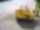Reversible plate compactor 525 kg BPR 55/65 Bomag
